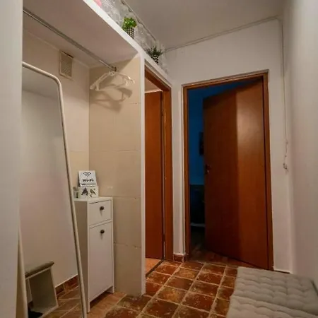 Aleea * Timisoara